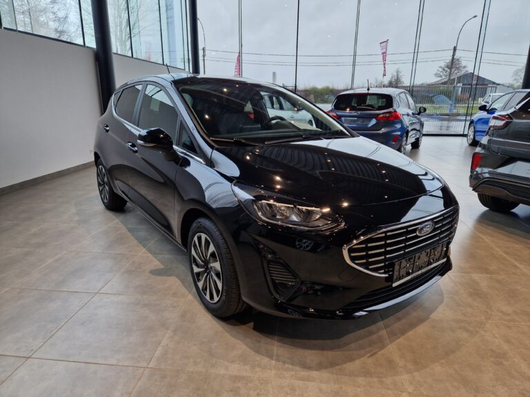 Ford Fiesta Agate Black